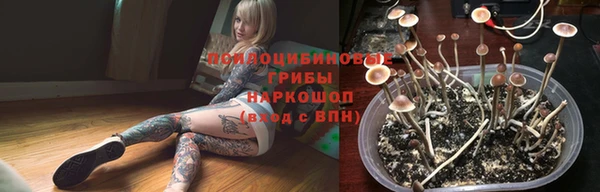 гашик Тайга