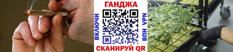 Бошки марихуана сатива  закладка  Фрязино 