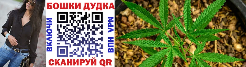 Конопля Bruce Banner Фрязино